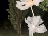 Coppia di Fiori Giganti in Organza