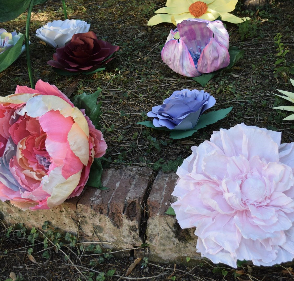 Peonia Gigante Arcobaleno in Carta Crespa - immagine 2