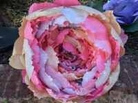 Peonia Gigante Arcobaleno in Carta Crespa