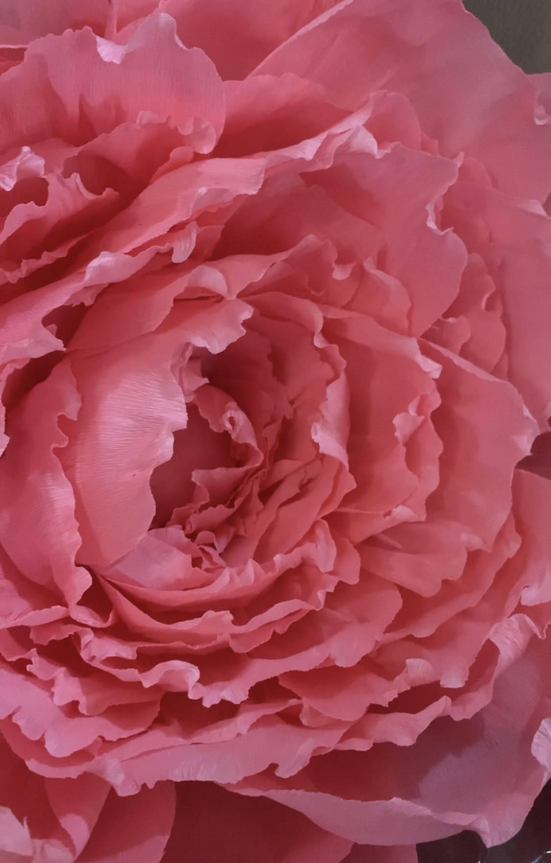 Fiore gigante per allestimenti
