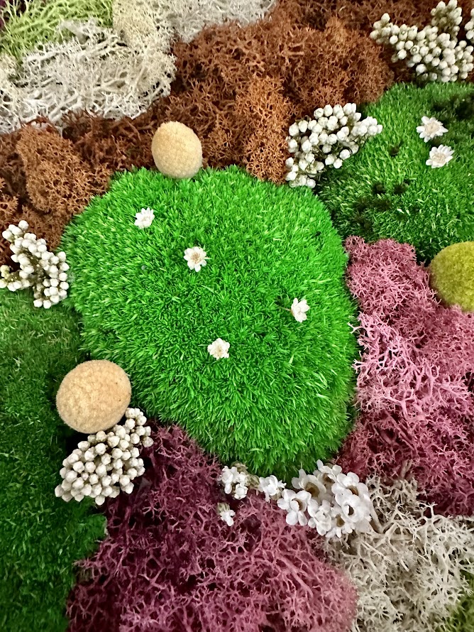 Quadro di Erba stabilizzata con fiori stabilizzati - immagine 8