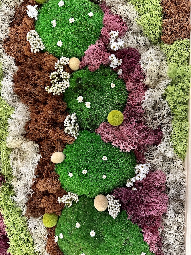 Quadro di Erba stabilizzata con fiori stabilizzati - immagine 12