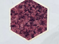 Esagono Gigante Con Erba Stabilizzata