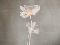 Set Fiori Giganti In Organza